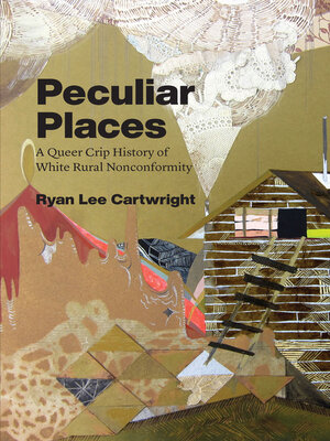 cover image of Peculiar Places